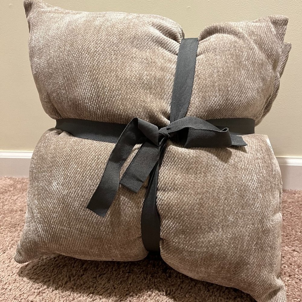 2021 18" x 18" Toss Pillows 2 Pack Beige